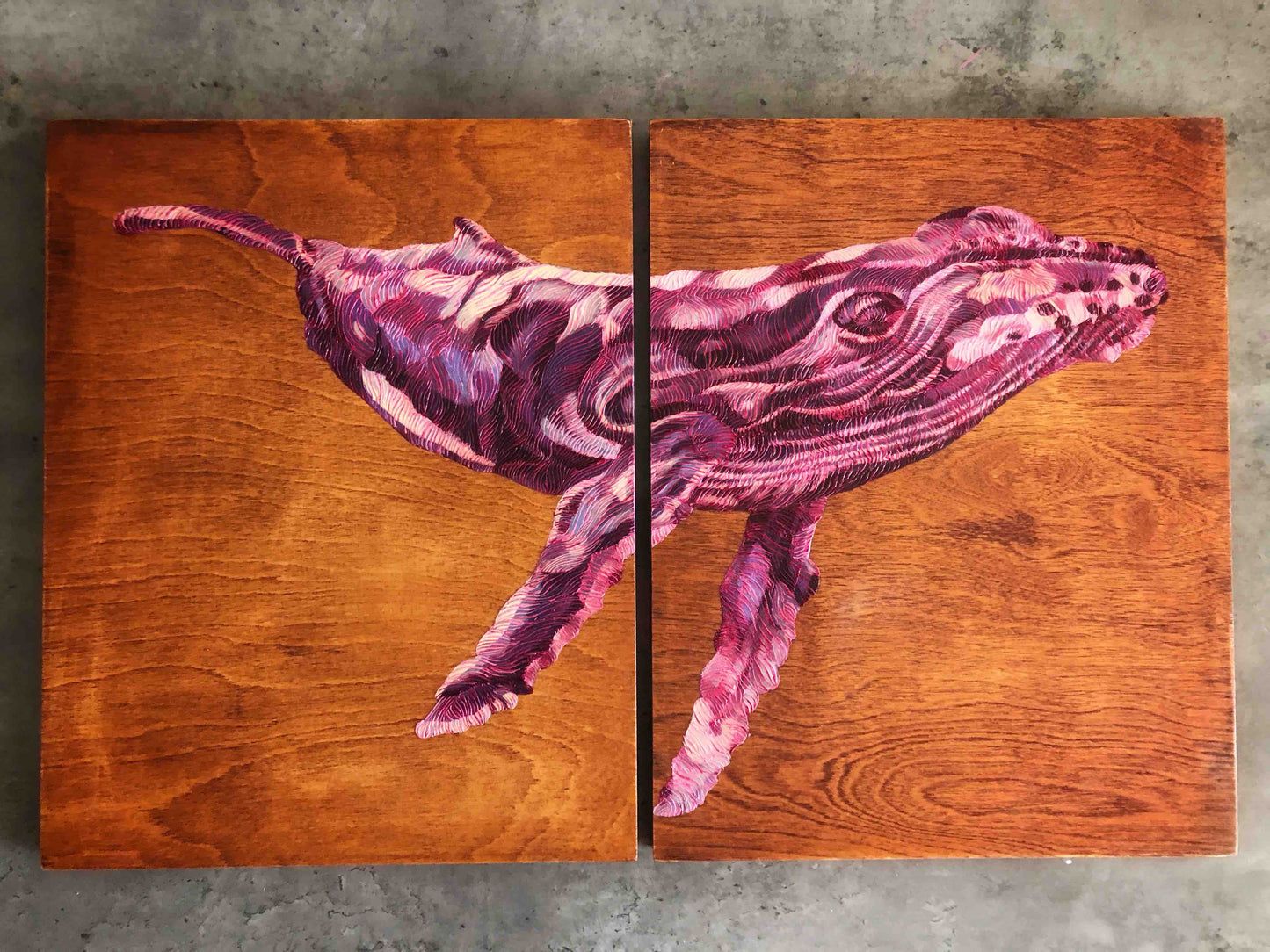 Sunset Pink Humpback Whale - Study 1. Stained Wood Background.