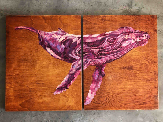 Sunset Pink Humpback Whale - Study 1.  Stained Wood Background.